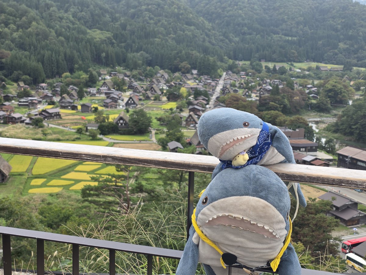 IKEAsame's tweet photo. 白川郷に来たよ https://t.co/watm1IYCSU