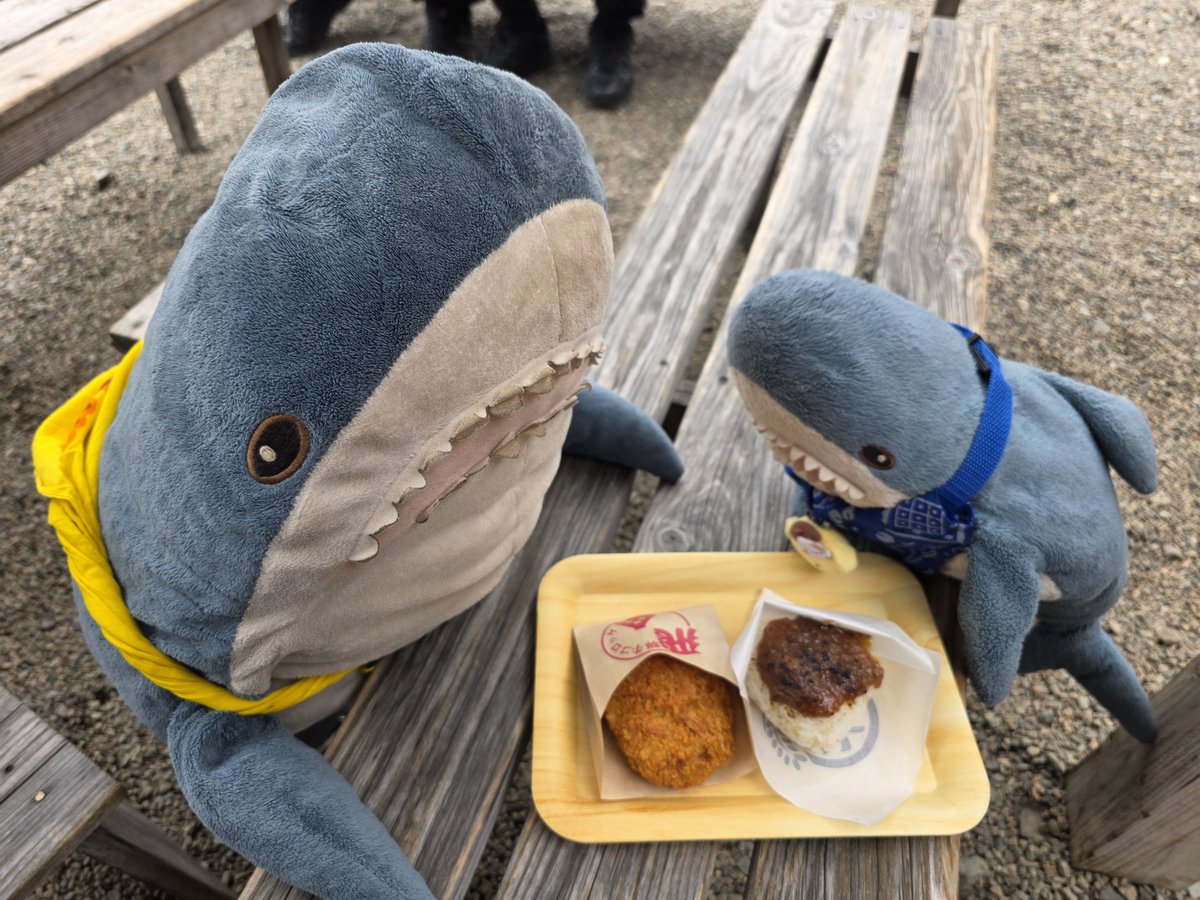 IKEAsame's tweet photo. 白川郷に来たよ https://t.co/watm1IYCSU