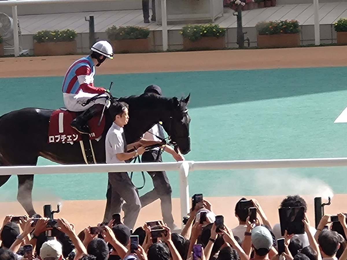 S_I_2005's tweet photo. 予定には無かったのですが昨日オールカマーが的中🎯したので阪神競馬場へ参戦🏃パドックに登場した瞬間、写真を撮られまくる大人気ロブチェンくんと松山騎手🏇馬券は買わずに本日・観戦のみでロブチェンくん１着🥇良かった😌  #ロブチェン #松山弘平 #神戸新聞杯 #競馬好きな人と繋がりたい #的中報告 https://t.co/mpOT6WeUPM