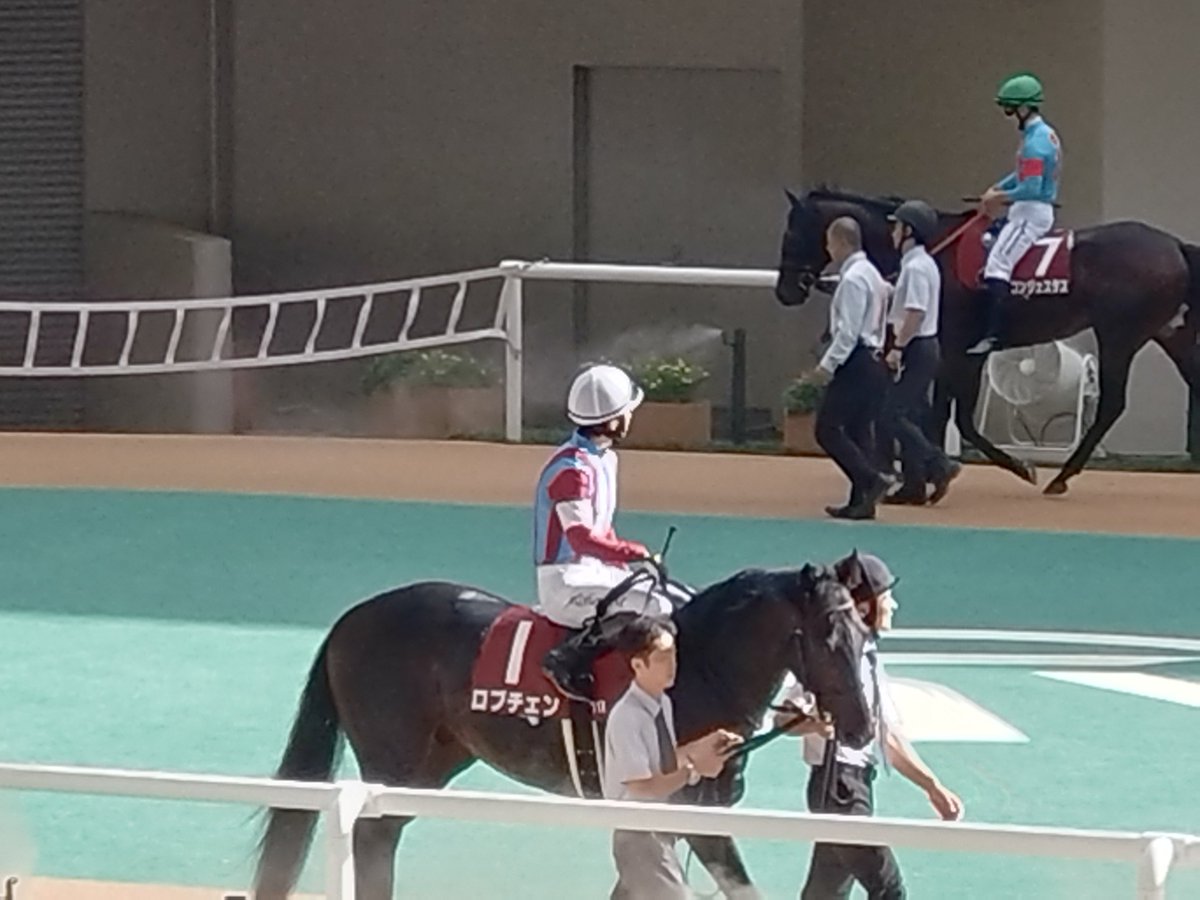 S_I_2005's tweet photo. 予定には無かったのですが昨日オールカマーが的中🎯したので阪神競馬場へ参戦🏃パドックに登場した瞬間、写真を撮られまくる大人気ロブチェンくんと松山騎手🏇馬券は買わずに本日・観戦のみでロブチェンくん１着🥇良かった😌  #ロブチェン #松山弘平 #神戸新聞杯 #競馬好きな人と繋がりたい #的中報告 https://t.co/mpOT6WeUPM