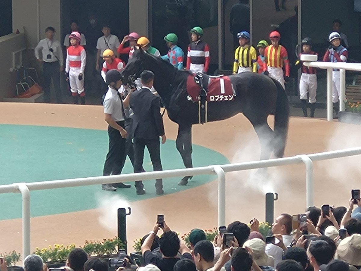 S_I_2005's tweet photo. 予定には無かったのですが昨日オールカマーが的中🎯したので阪神競馬場へ参戦🏃パドックに登場した瞬間、写真を撮られまくる大人気ロブチェンくんと松山騎手🏇馬券は買わずに本日・観戦のみでロブチェンくん１着🥇良かった😌  #ロブチェン #松山弘平 #神戸新聞杯 #競馬好きな人と繋がりたい #的中報告 https://t.co/mpOT6WeUPM