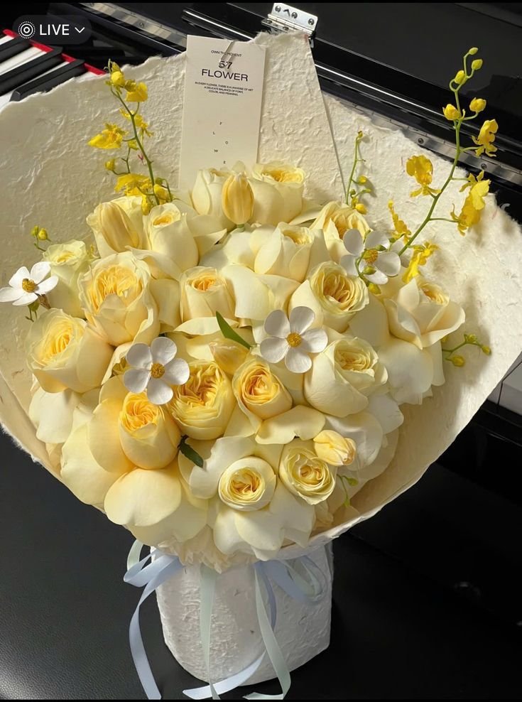 UmbraFlowrs's tweet photo. @dulcecortada https://t.co/QFM1URnVfw