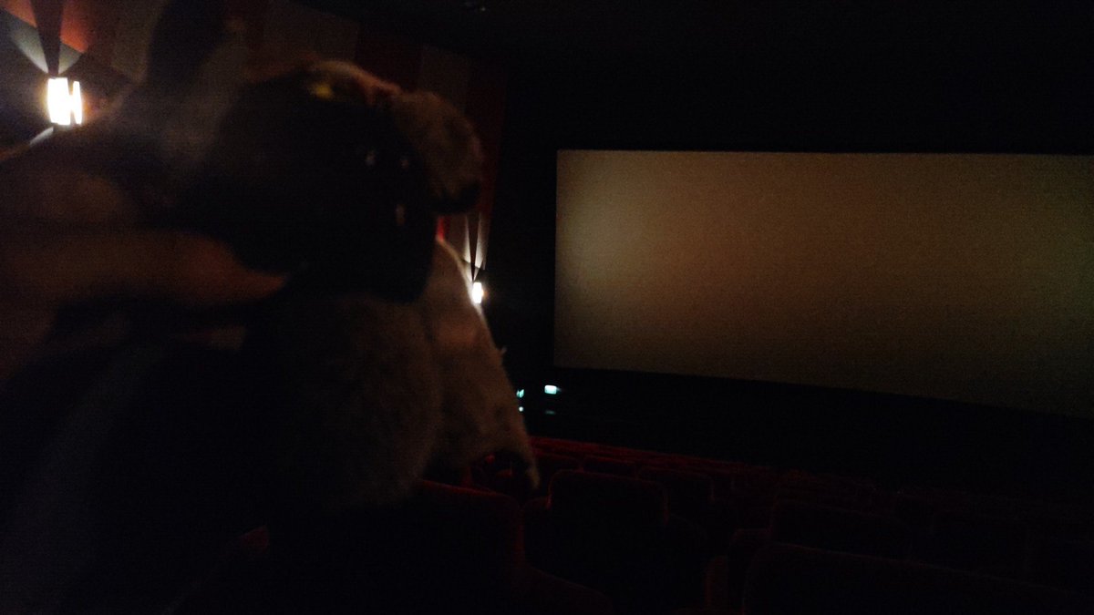 nonevilpup's tweet photo. movie time https://t.co/apleAFs0xt