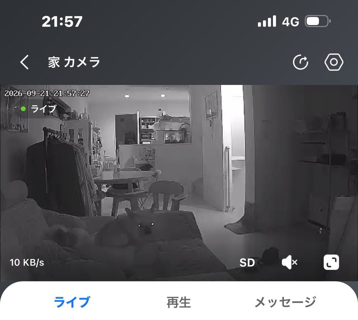 ran1990822's tweet photo. まだ2階でまってる🥺
3階で寝ればいいのに、、、
ママ明日かえるからね🥺🥺🥺🥺🥺🥺 https://t.co/BD5oY94weC