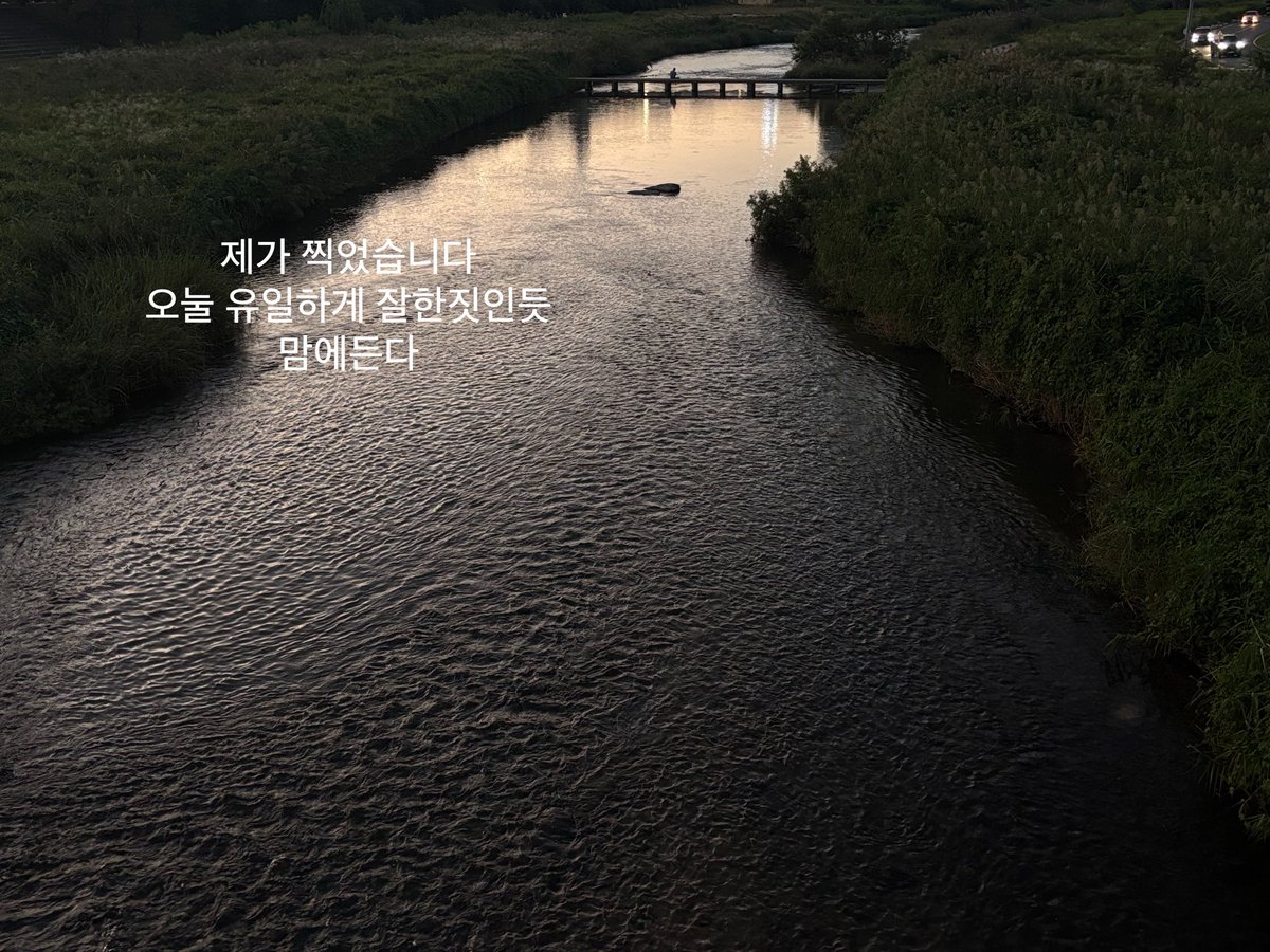 happy_cool_cat's tweet photo. 오늘 너무 햄들었고 공부 인증은 폐급 인증과 같기때문에 패스하겠씁니다 이런 저라 죄송하지만
이러캐 사는 아이도 한명쯤은 있어야 여러분도 힘이 나지 않겠습니까
파이팅 https://t.co/KW0gt93QAr