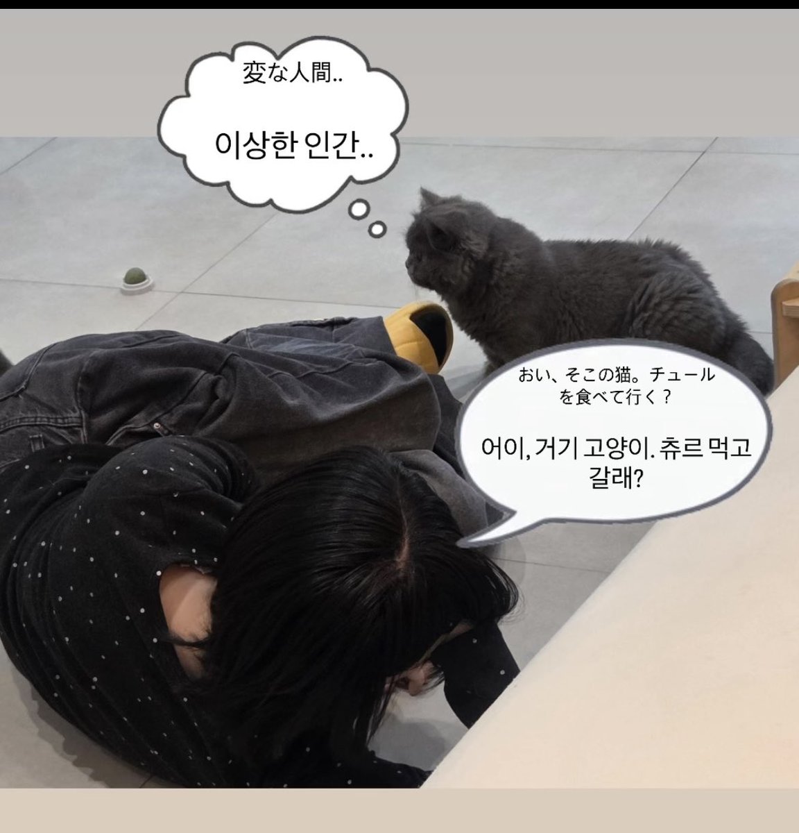 6ecK_y215's tweet photo. https://t.co/2nYwcPpzDs