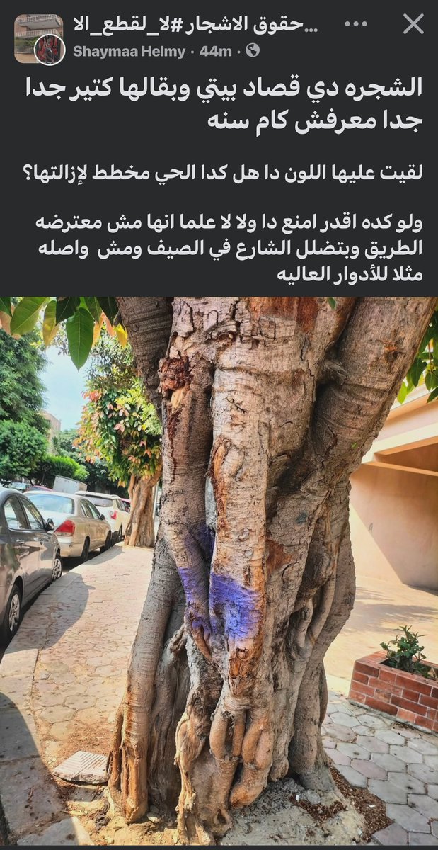SarhanSher99318's tweet photo. واضح ان العلامة دى محطوطة عشان تتشال ..ابعتو رسالة تحذير للحى وان الشجرة دى لو اتقطعت حتبلغو الامن .. وحذرى الجيران وتابعوا الشجرة ولو سمعتوا منشار ..افشخوا اللى ماسكه وحطوله المنشار فى المصلحة .. https://t.co/mXfbZijQHN