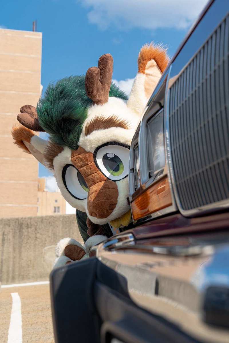 rufusderg's tweet photo. @BarleyTheBurr https://t.co/hbsST6p9Yf