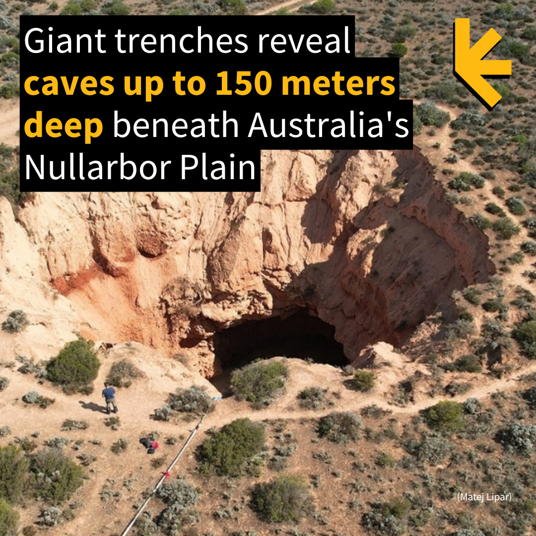 ScienceAlert tweet picture
