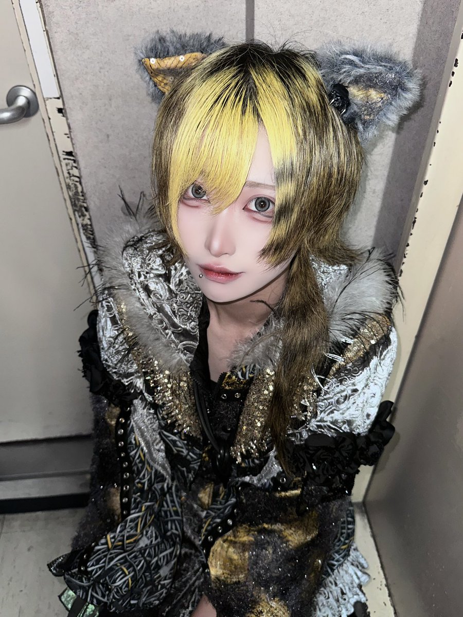 tora_madoromi's tweet photo. 待て、しない✋ https://t.co/qnwsH3dLys