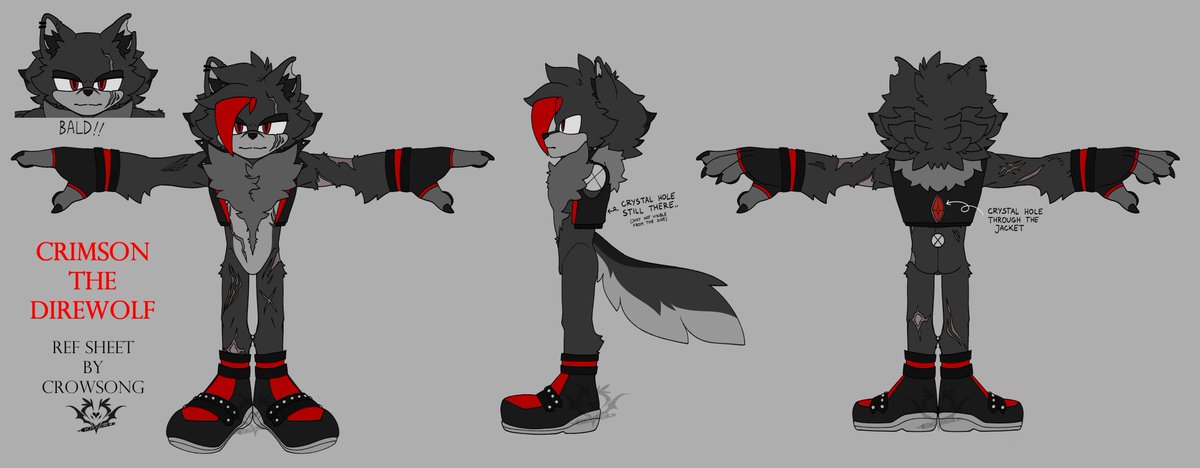 CrimsonDirewolf's tweet photo. @anklebited Crimson the Direwolf https://t.co/9jHQWfISkJ