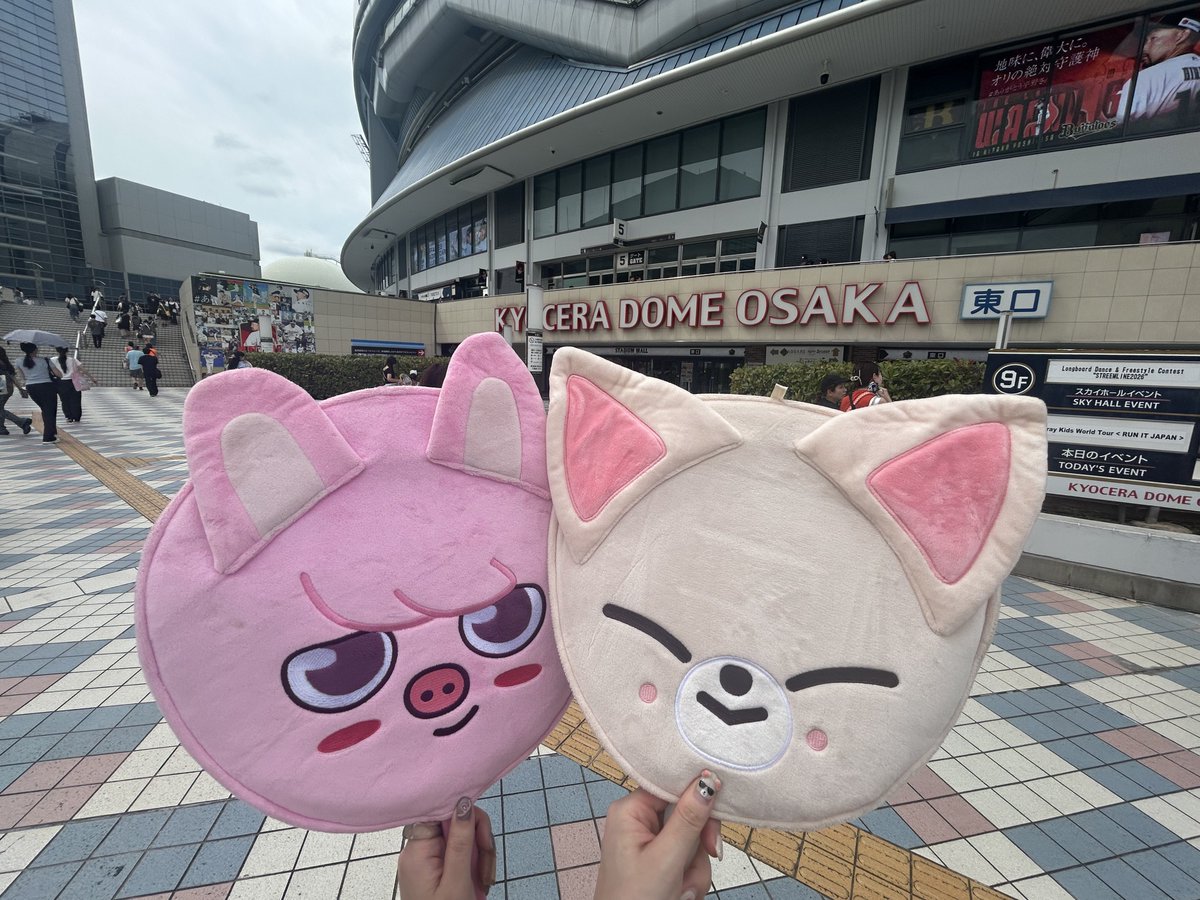 achupin28's tweet photo. あっという間の京セラ2daysㅠㅠ
いつものんびり過ごしてたけど、今回はトレカ交換やら偶然ばったりやらでお友達や初めましての方にたくさん会えてすっごく嬉しかった😽🍀
サウチェでエコパのリベンジ達成できたし、2日間イエニに構ってもらえて幸せ🥰💫福岡もたのしみ〜！💨(めんべいコラボ来い) https://t.co/dE0yF4XVpU