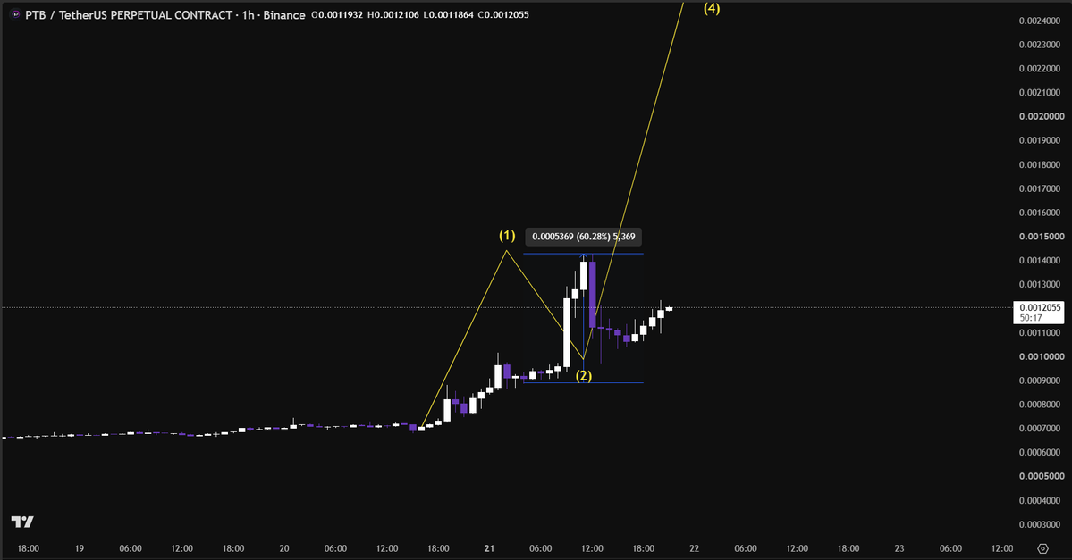 Dominate_rx's tweet photo. A 60% gain is just the beginning, get ready for the next big run for $PTB 

Following the Elliott Wave theory for the Wave 2 correction, the subsequent Wave 3 rally will be very powerful. We will soon see this useless coin surge just like $AKE. https://t.co/9o6POTqIKi