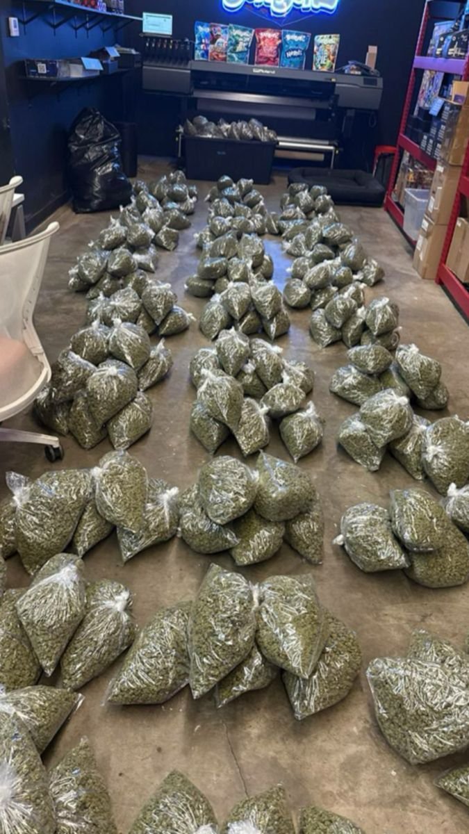 weedbeuhactif's tweet photo. qualité premium pour en profiter écrit moi rapidement en DM
🇲🇫

#3MMC #drogue #sexe #weed #cannabis #Beuh
 #StGeneviève #StMaurlusita
#Furiani #Épinal #Brest
#Wasquehal #Lorient #Clermont
#Lyon #Nice #Reims
#Toulouse
#Lens
#Vannes #Blois #Fleury #Nante #Créteil #lille https://t.co/wJtfijCR8O