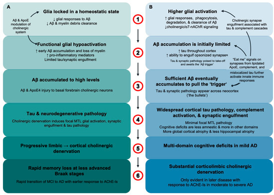 Neuroglia_MDPI's tweet photo. 🧬🧠 Functional Glial Activation Mediates Phenotypic Effects of APOEɛ4 and Sex in Alzheimer’s Disease

How do genetics and sex shape glial responses in Alzheimer’s disease? 🔬

👨‍🔬 by Roger M. Lane

🔎 Read more: https://t.co/QZLWx9Wl1Y

#AlzheimersDisease #APOE4 #Neuroglia https://t.co/cGAFZrCU9J