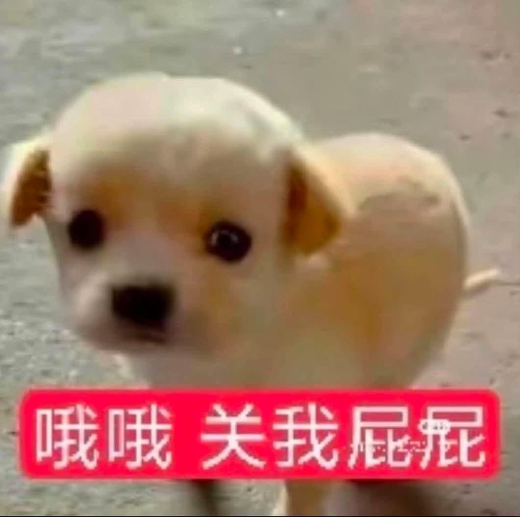 yaoaiaima's tweet photo. 男生需要素材才会打开x，不然不会上线 https://t.co/PqKZSTNmrx