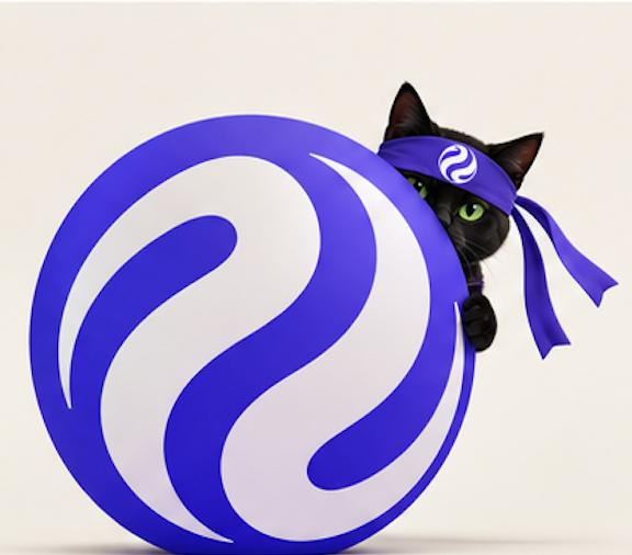 NinjaCatSF's tweet photo. @mirza BIG https://t.co/QkA0s9S46W