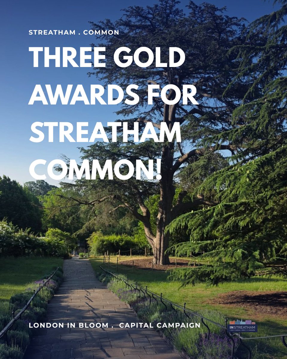instreatham's tweet photo. Streatham Common has won 3 GOLDs at the @LondonInBloomUK awards!

🥇 Gold for The Rookery Gardens
🥇 Gold for The Conservation area - Woodland &amp; LNR
🥇 Gold for Streatham Common inc the paddling pool

Congrats to everyone @sccoopstreatham who work so hard on the common &amp; Rookery https://t.co/3FAjCpSSzd