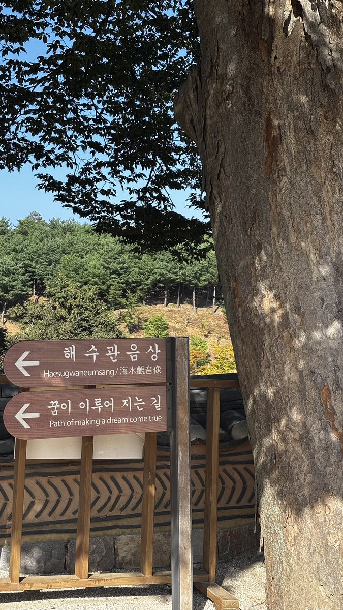 6e8c03's tweet photo. 에이맨 https://t.co/yYu4cSvh8g