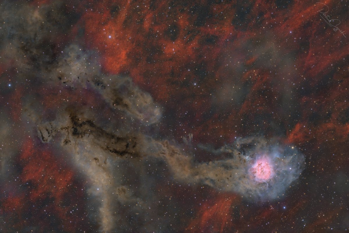 ovipaufar's tweet photo. Cocoon Nebula Wide Field
https://t.co/hf6yNXoGnH https://t.co/ugTSYAcvYq