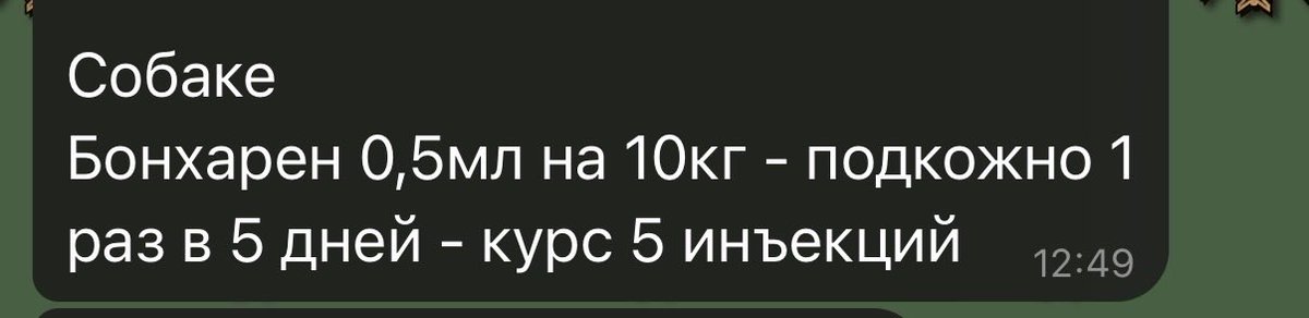 riannseidhe's tweet photo. ребята, Москва, может у кого-то остались ампулы бонхарена и вам не жалко отдать безвозмездно или за чисто символическую сумму? собачка у нас 40 кг весит, у нас нет таких денег сейчас, т.к. несколько месяцев все отдавали на лечение и обследование моих пушистых… а он плохо ходит☹️ https://t.co/5gzZ4cvubF