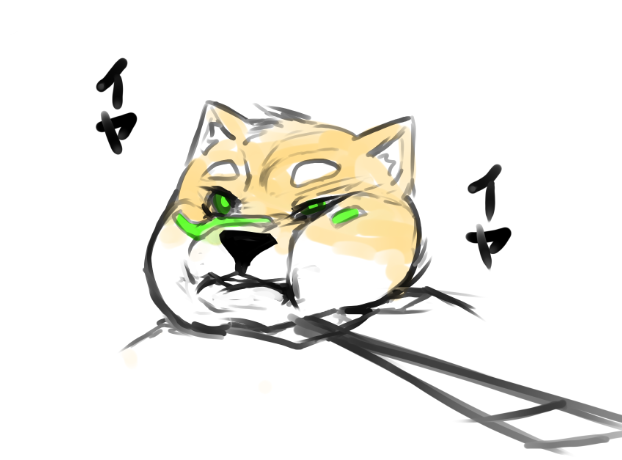 iOScythe's tweet photo. 友人の柴犬。 https://t.co/4EETkxRIk2