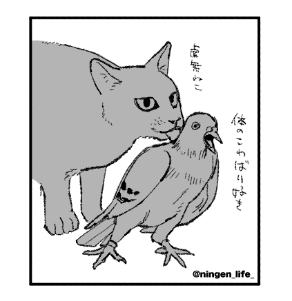 ningen_life_'s tweet photo. 猫になって鳥を舐めたい https://t.co/7jQC6xiUPu