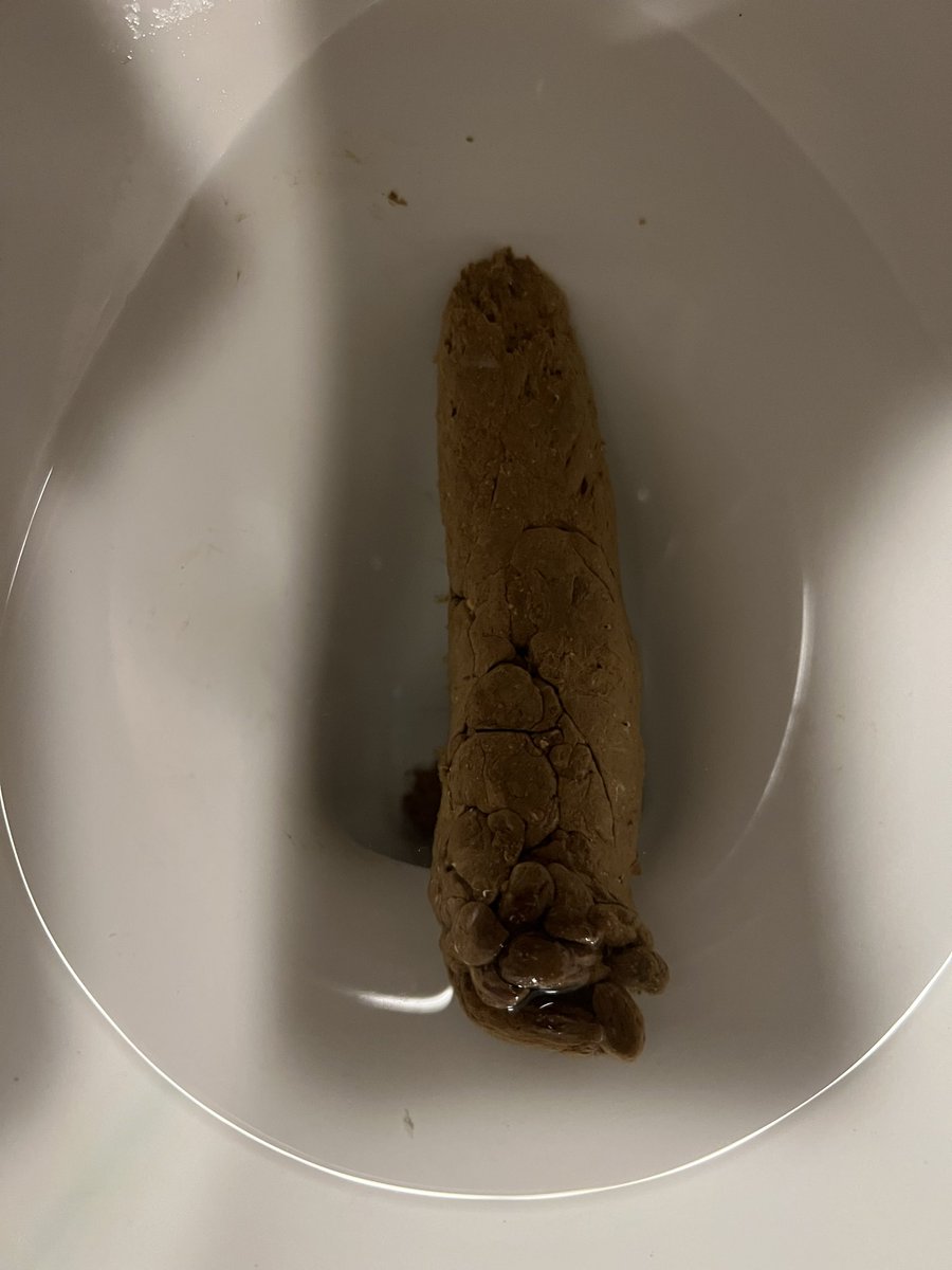 luke2joseph1's tweet photo. Poop Update https://t.co/0xPJ7d0q6R
