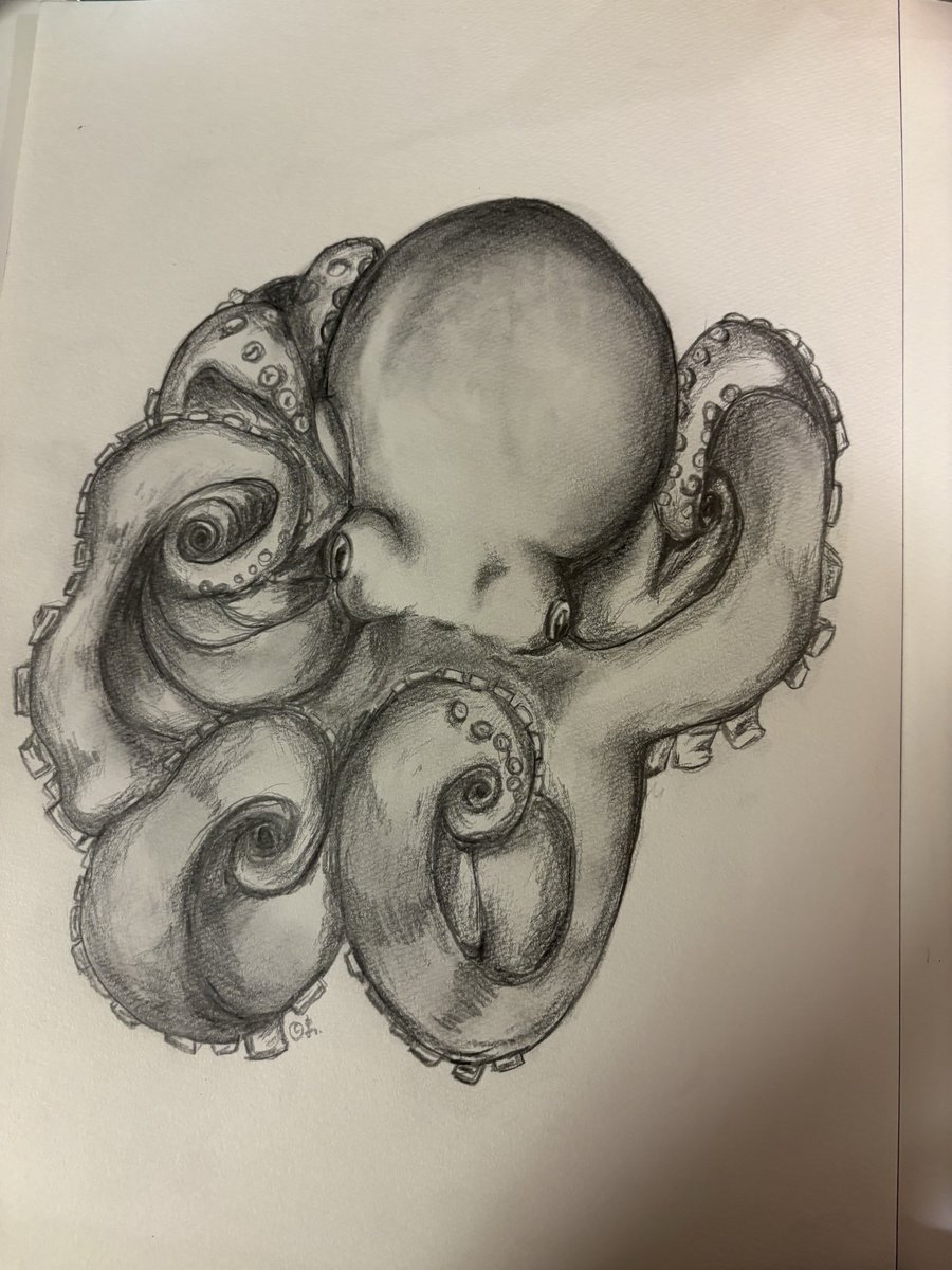 gon13330303's tweet photo. #イラスト好きさんと繋がりたい
#絵描きさんと繋がりたい
#タコ
#アナログ絵
蛸 https://t.co/Mrh84Qnhxy