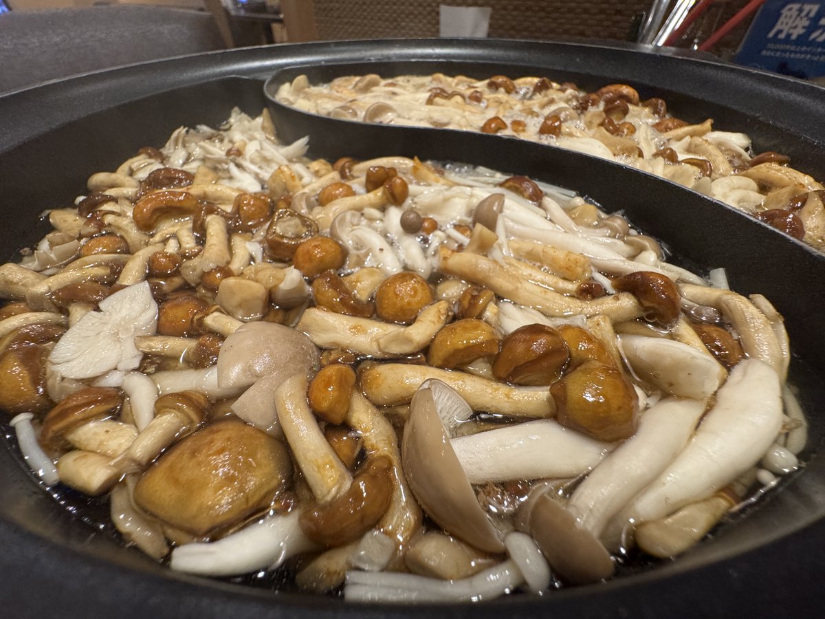 kudo_pon's tweet photo. おいでよ！ きのこの森ぃぃぃぃーッ🍄

しゃぶ葉がきのこ祭り開催中！ つまり、いまのしゃぶ葉は、きのこを食べに行くところ！

しゃぶ葉のきのこは多種多様。白舞茸、クリーム色舞茸、山なめこ、しめじ、えのき、きくらげ、白きくらげが用意されているから、徹底的にきのこ濃度高めのキノコ鍋が堪能できる。

絶対に注文してほしいのが「ポルチーニ香るきのこだし」の追加。たったの税込110円で、キノコの美味しさが最高レベルにブチ上がる美味しさになる。これがあればタレいらないレベルでゲキウマ確定。

きのこ全種類を一気に煮込んで食べると至高。ライスにきのこ汁を染み込ませて食べると極上。しゃぶ葉のきのこしゃぶしゃぶ！ うまい、うますぎる！
