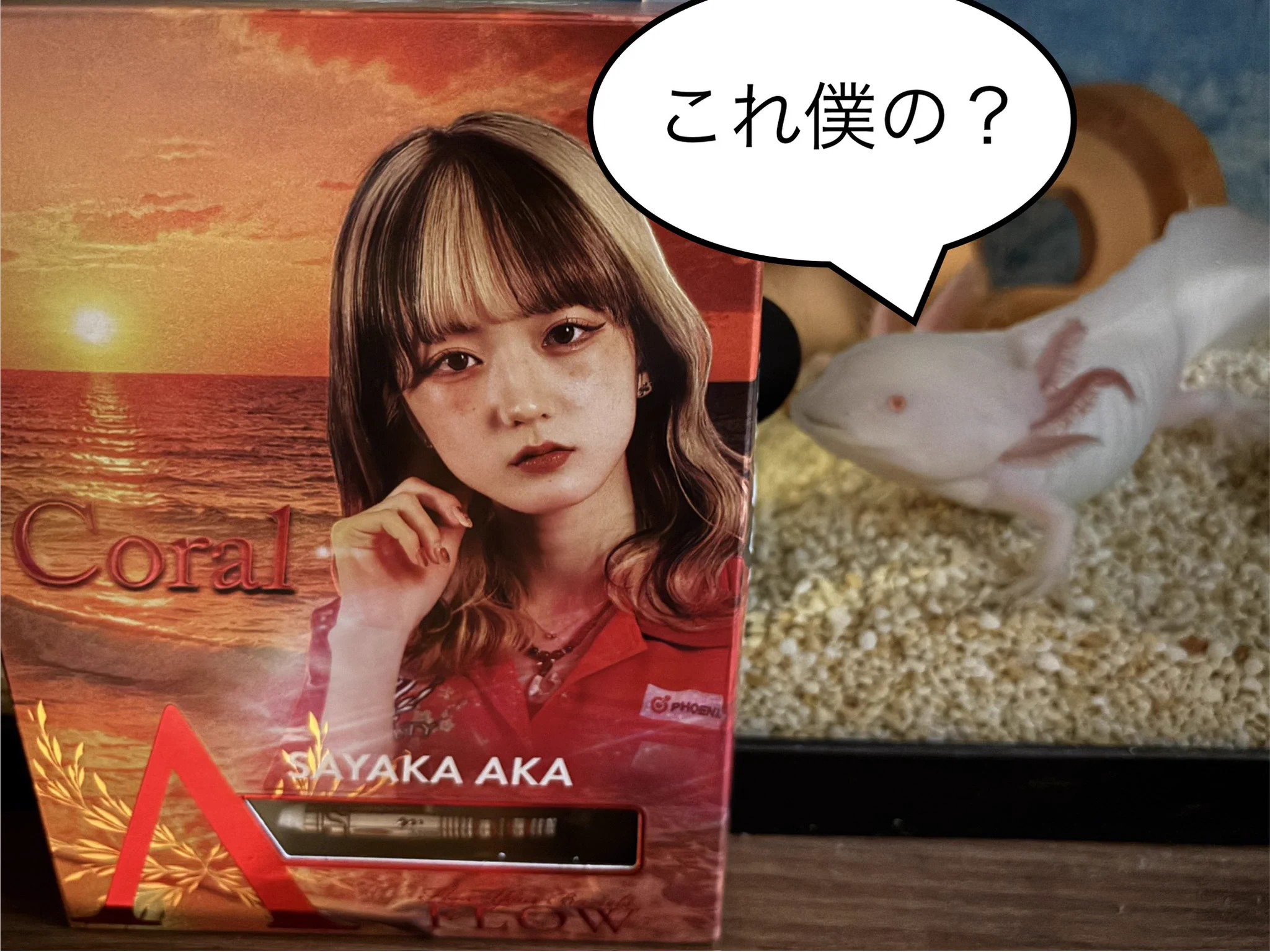 Replies by 阿嘉 紗香(aka sayaka).* (@sayaka25smile) / X
