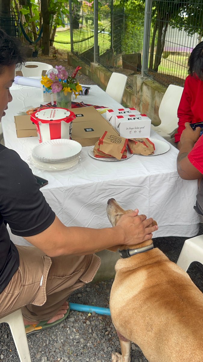 wearehappydoggo's tweet photo. He’s back, he’s recovering, and thanks to all of you, thousands more lives will be rescued 😭❤️

Niall pushed his body to the absolute limit, for 24 hours, so more street dogs can get the lifesaving care they deserve at Tina’s Hospital in the future.

Today, the Land team threw him a proper party to celebrate with party poppers, cake and lots of yummy food (just not for Bella…)

You did it Niall, Tina would be so proud.
