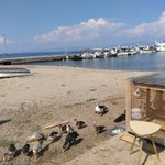 Photo by Καραγιαννίδου Δήμητρα (@Mitsi2111)