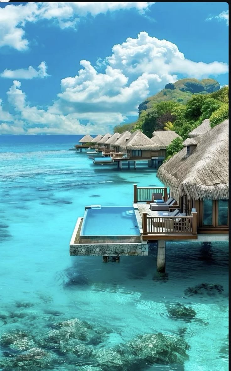 water_diaries's tweet photo. Maldives 🇲🇻 https://t.co/ry1GcYoGJT