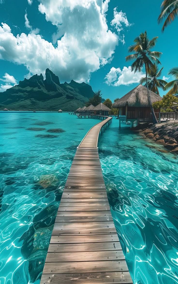 water_diaries's tweet photo. Bora Bora, French Polynesia 🇵🇫 https://t.co/W42ztVVb5x