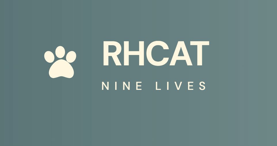 RHCATXYZ's tweet photo. Almost done with the rebrand . We are very excited to show. What we have built for @RobinhoodApp . 
Cats going to take over soon. 
Drop your wallets. https://t.co/AqpZsyyNGU