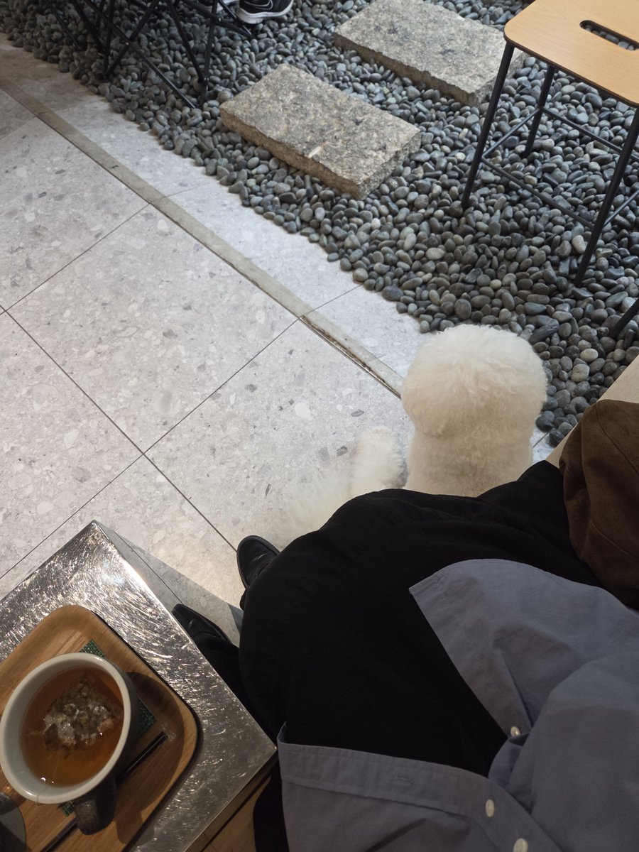 youin112233's tweet photo. #일상계_𝕏친소 #일상계_트친소 #일상계𝕏친소 #트친소_𝕏친소 https://t.co/5XZdxCXcsD