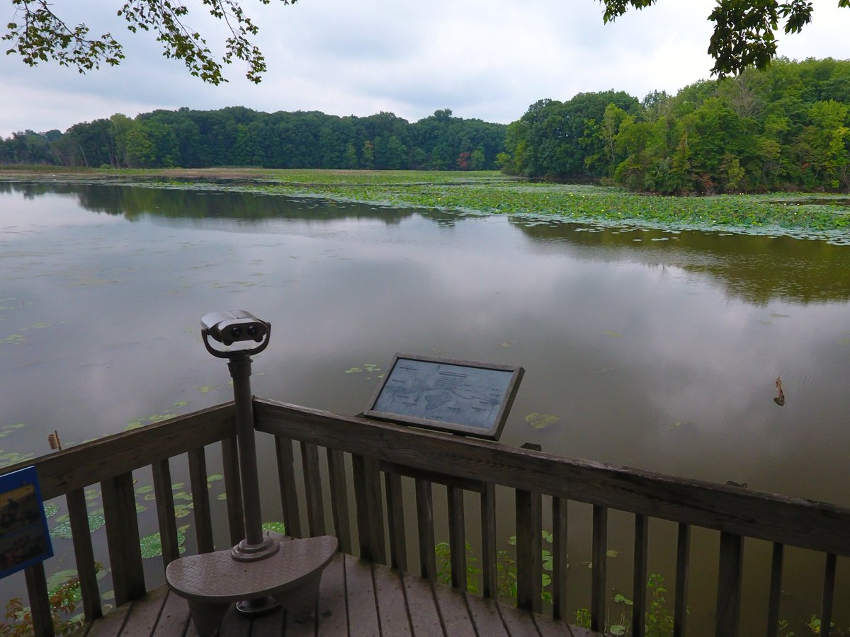 ohiodnr's tweet photo. Where Old Woman Creek meets Lake Erie, something cool happens 🌊 

Old Woman Creek NERR is a unique estuary that provides important habitat for fish, birds &amp; other wildlife!

#NationalEstuariesWeek @OhioDivWildlife @OWCnerr 

Learn more: https://t.co/suDwgUL6pn https://t.co/eWrWtclODF