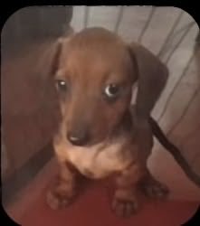 cocainnarosa's tweet photo. pues la verdad ya llevaba 7 meses limpia, y pues recaí, lol https://t.co/Rd6rMZdT4Q