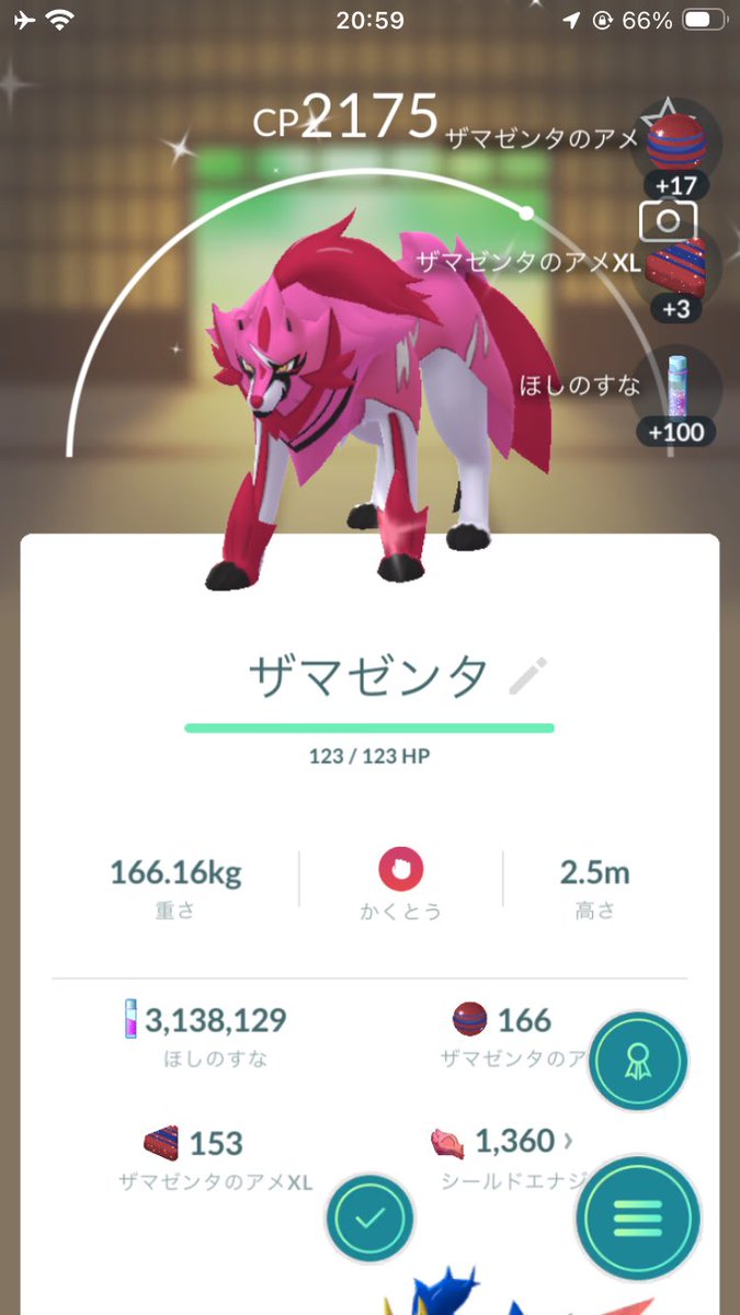 ac13242's tweet photo. ザマゼンタとついでにたそがれに進化するイワンコ光ったのかなりいい感じ https://t.co/6LpWoj6a0S