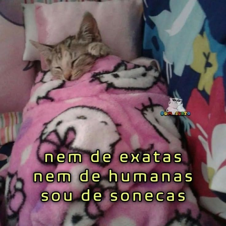 acervobichinho's tweet photo. https://t.co/XOQ3DWEAa7