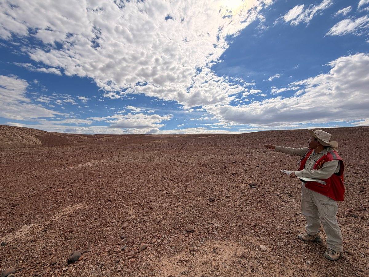 LukeLongridge's tweet photo. Just finished a couple of field days at Tierra Roja with the sampling crew.

A couple of photos here of potassic alteration and silicification in Jurassic andesites ~2.5 km SE of the core zone. Good sense of how far the system reaches.

Caliche cover is extensive, so systematic sampling is tricky, but the outcrop is there if you look for it.