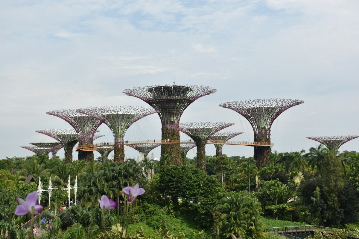 LoghanTravels's tweet photo. From Marina Bay Sands and Gardens by the Bay to Sentosa, Chinatown, Clarke Quay and Orchard Road, Singapore brings together modern luxury, vibrant culture and unforgettable experiences.

For bookings &amp; enquiries: 0111 463 492 | info@loghantravels.com https://t.co/dpL9LemmhY