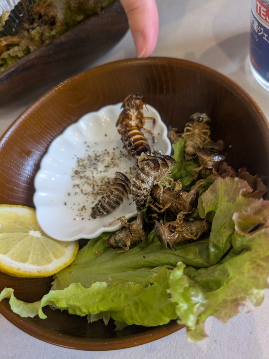 35yno55bou's tweet photo. 大阪出張、奇食の旅

本当に良すぎた💕

爬虫類達を観ながらの

アマガエルの親子唐揚げ
G様の素揚げ
ラクダ肉

どれも美味しかったし楽しかったです🐍

#奇食を崇拝する会
#奇食女子会 https://t.co/ehspwQRvkg