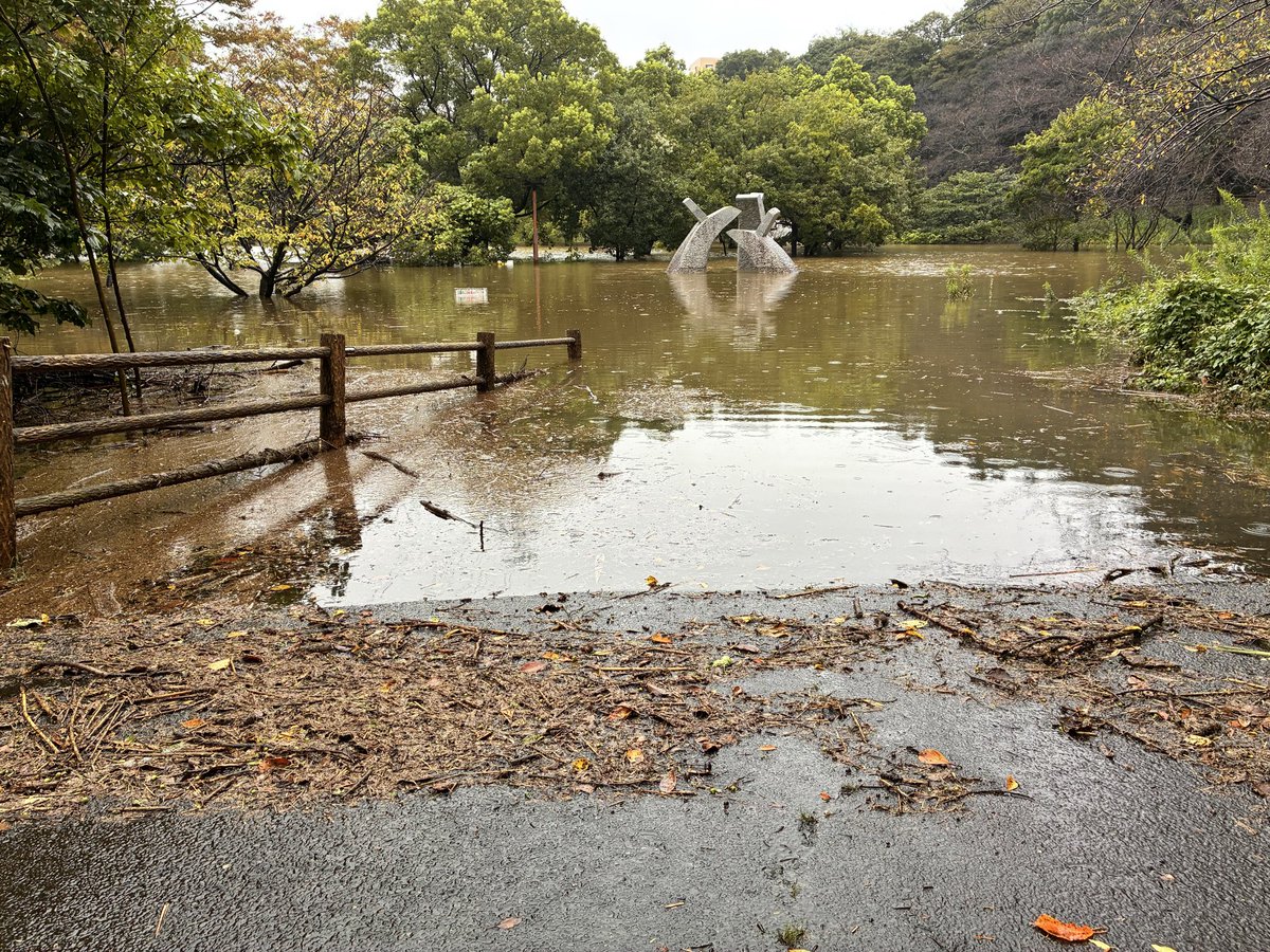 ga_nta_kun5's tweet photo. また､8月の千葉豪雨に続いて危険な台風が千葉県に接近。近所の公園が冠水した。
千葉豪雨の時は､家の前の道は自動車のナンバープレートの高さ位まで冠水した。家に被害はなかったけど。
近所の公園や貯水池に雨水が流れるように整備されているから､うちの地域は助かっている。 https://t.co/DjsXFRtzuf