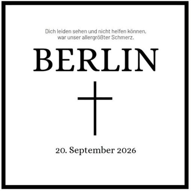 herr_privat's tweet photo. Isso https://t.co/9YpjvCDecb