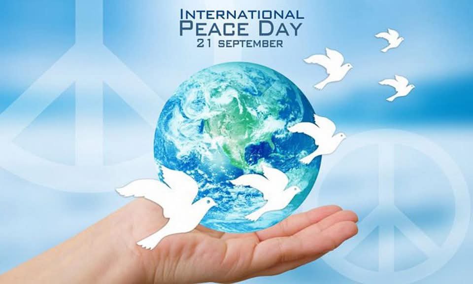 Sesonline_'s tweet photo. https://t.co/LdRbu7eIK9