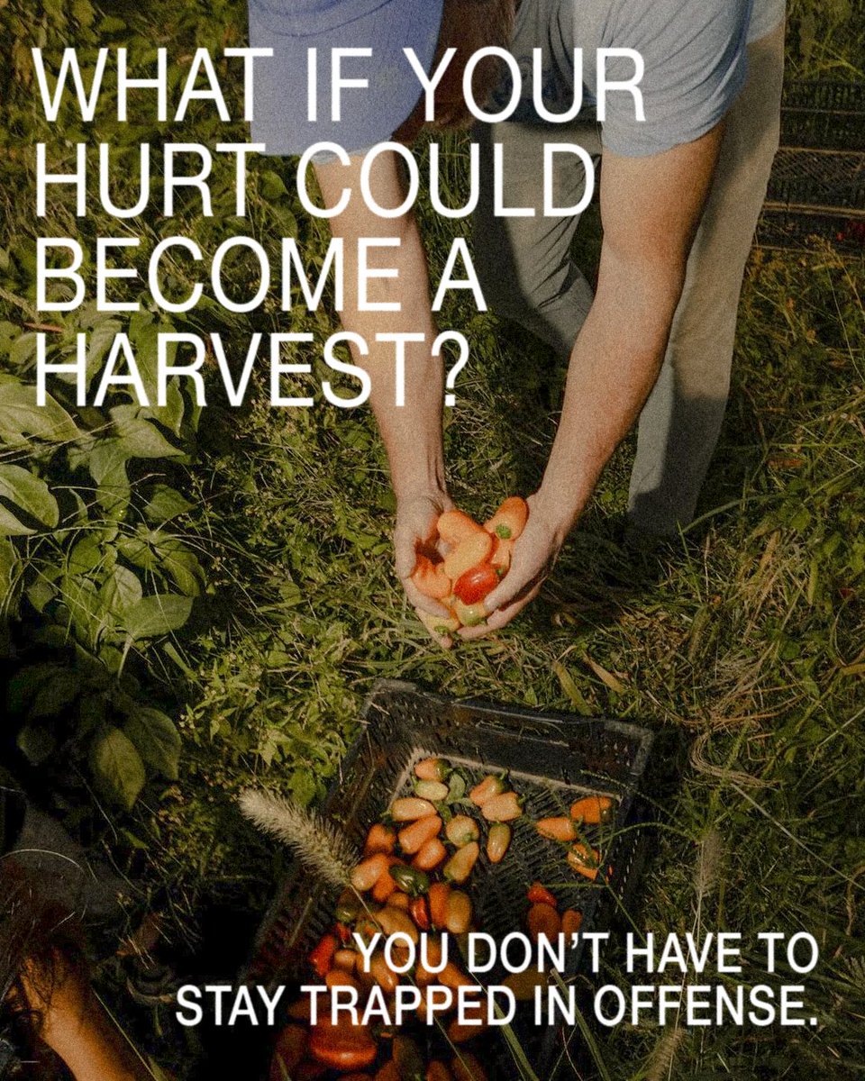 CopelandNetwork's tweet photo. What hurt you doesn’t have to hold you. Choose forgiveness, fill your heart with the Word, and trust God with the outcome. Don’t let hurt determine your harvest.
Sow love. Sow forgiveness. Sow the WORD. https://t.co/w8mxXjJbrw