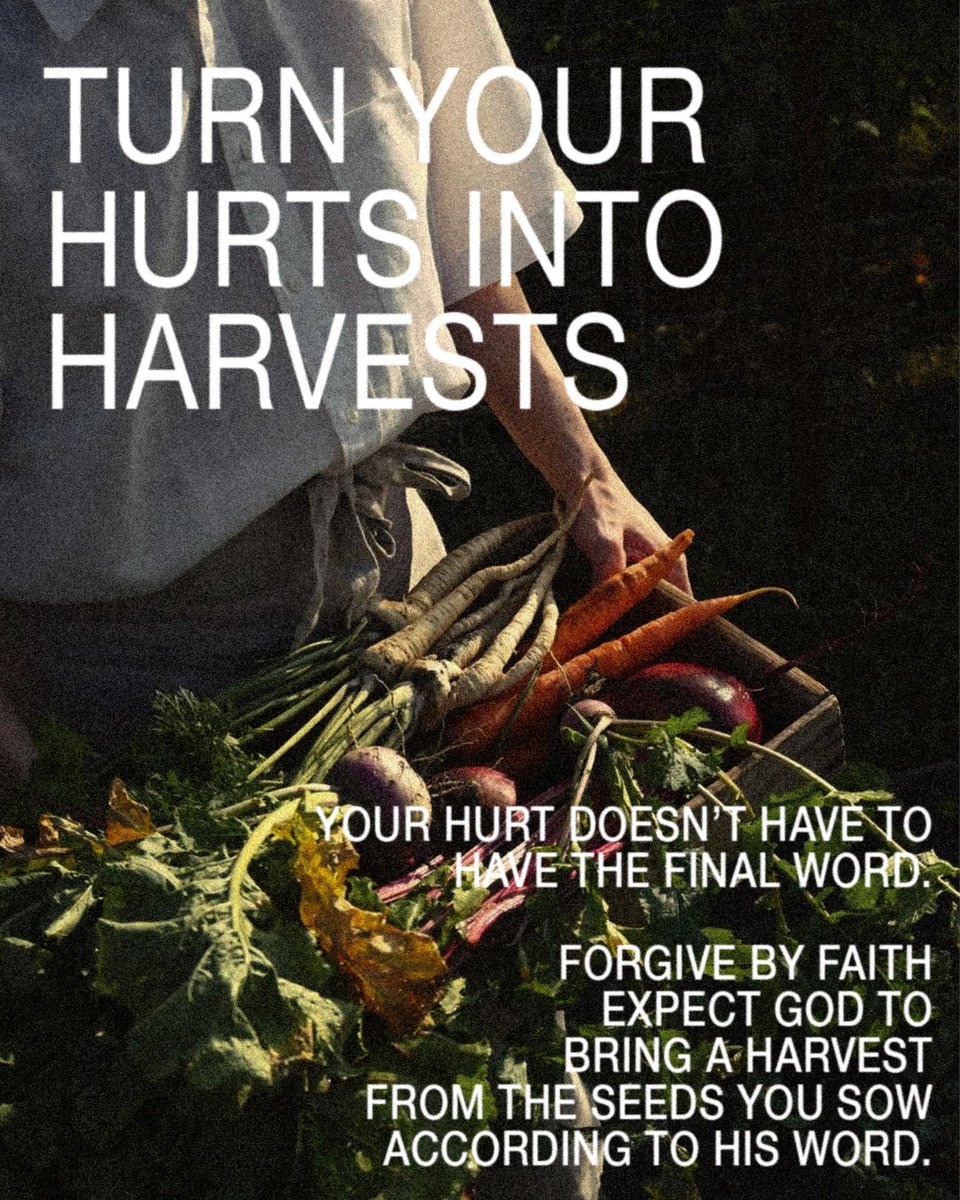 CopelandNetwork's tweet photo. What hurt you doesn’t have to hold you. Choose forgiveness, fill your heart with the Word, and trust God with the outcome. Don’t let hurt determine your harvest.
Sow love. Sow forgiveness. Sow the WORD. https://t.co/w8mxXjJbrw