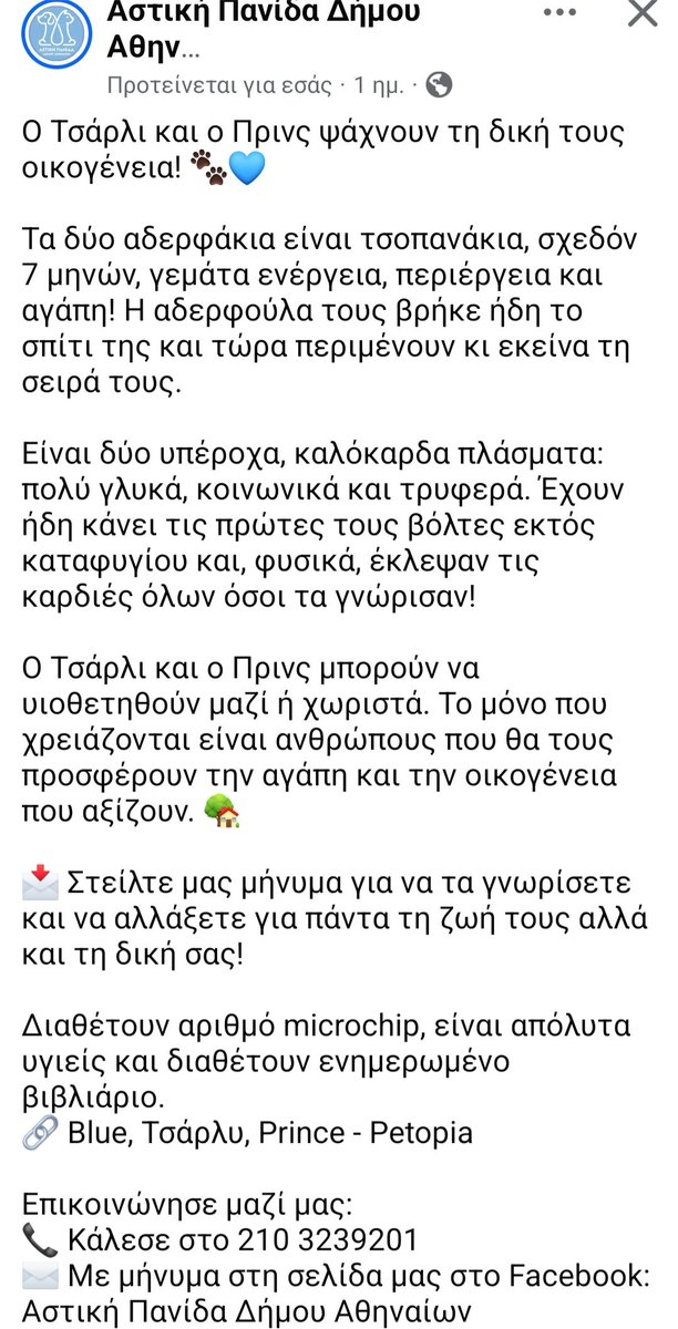 KatKatPt's tweet photo. 🆘️🆘️🆘️
Ο Τσάρλι κ ο Πρινς ψάχνουν τη δική τους οικογένεια
2 αδερφακια τσοπανακια σχεδόν 7 μηνών γεμάτα ενέργεια κ αγάπη
Μπορούν να υιοθετηθουν μαζί ή χωριστά
Χρειάζονται ανθρώπους που θα τους προσφέρουν αγάπη κ την οικογένεια που αξίζουν
Rt 🙏 🙏 🙏 https://t.co/oDEqUH9NRu